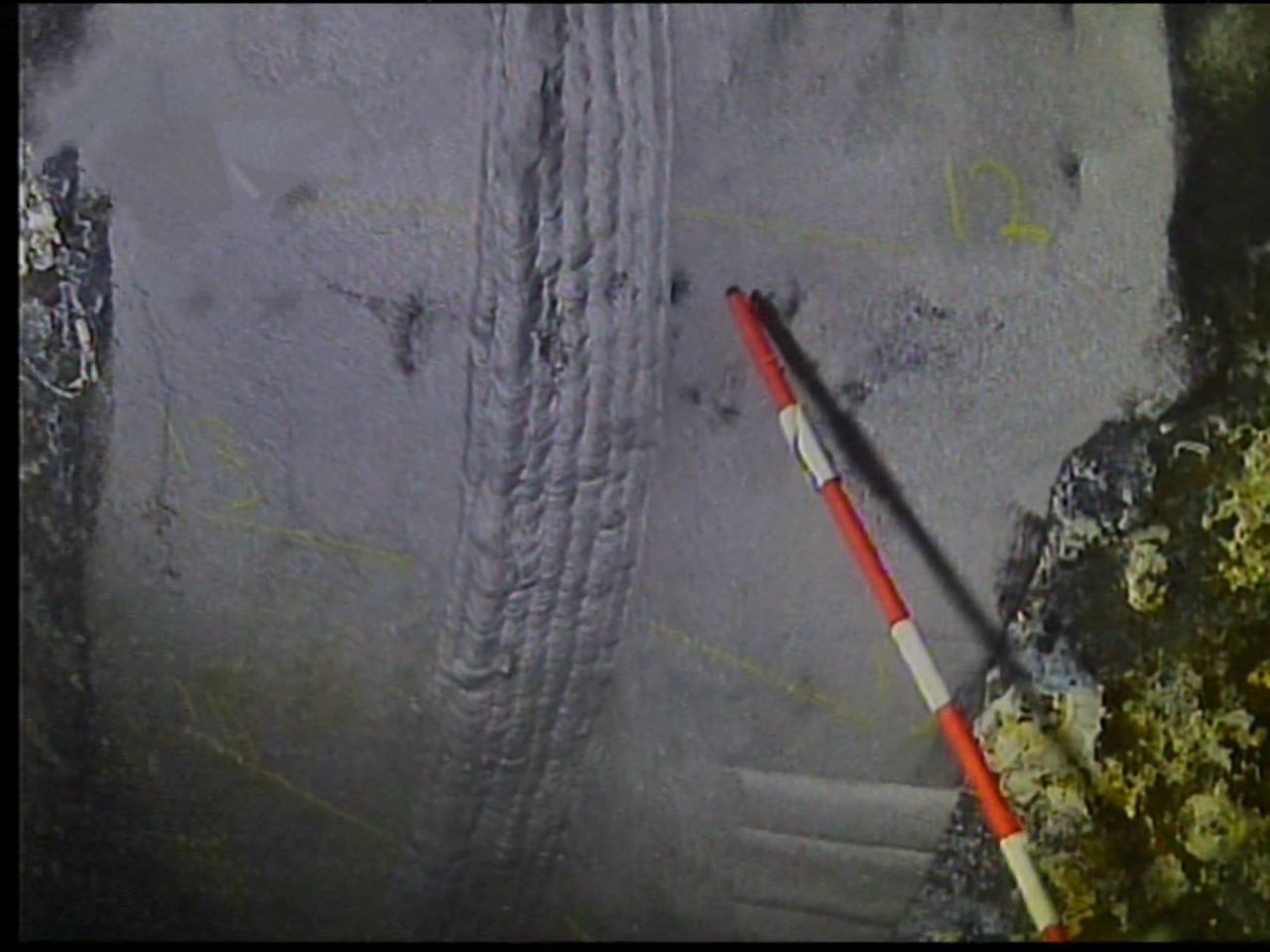 old diver pointer